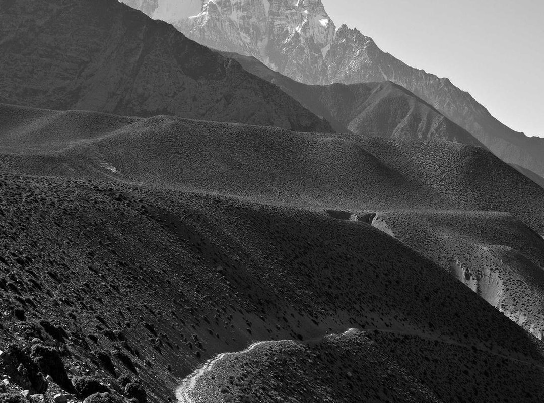 A Realistic Look at the Math: Understanding Kino Odds