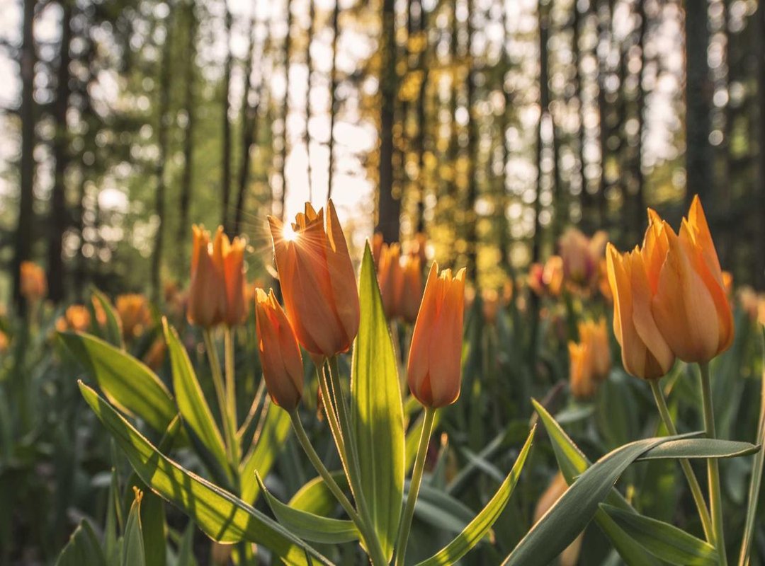 The Impact of Data Leaks: Personal and Professional Consequences