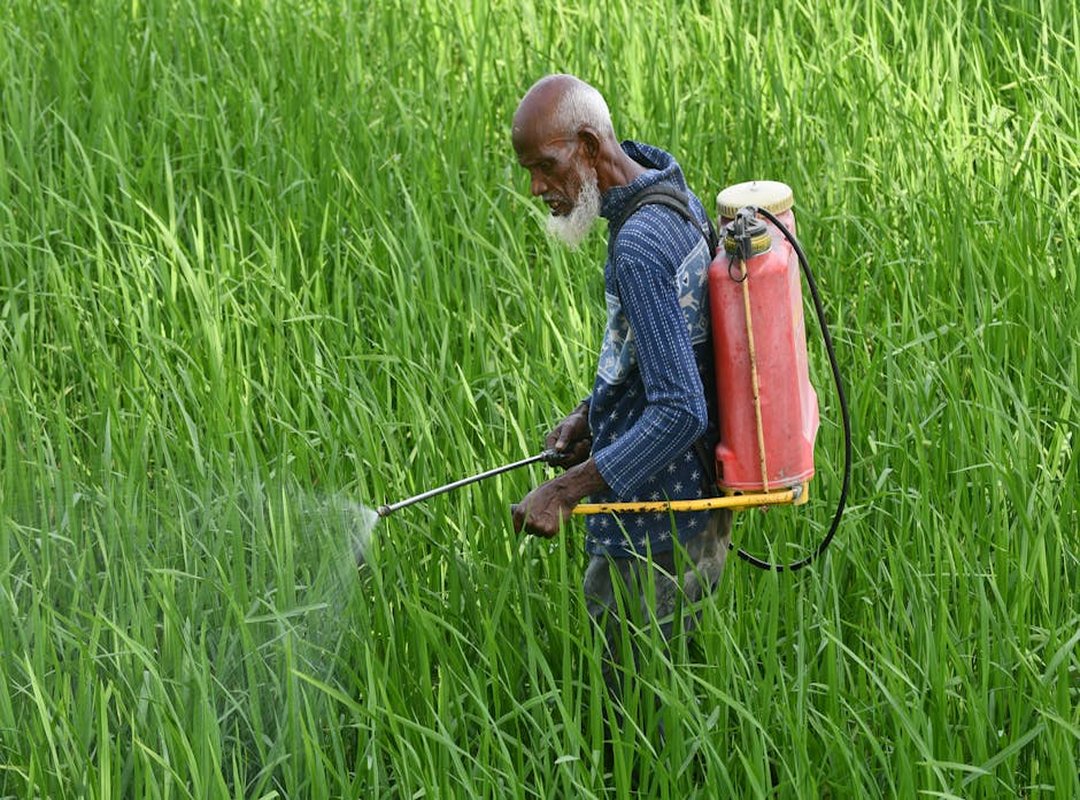 How Can I Remove Pesky Weeds Appcyard