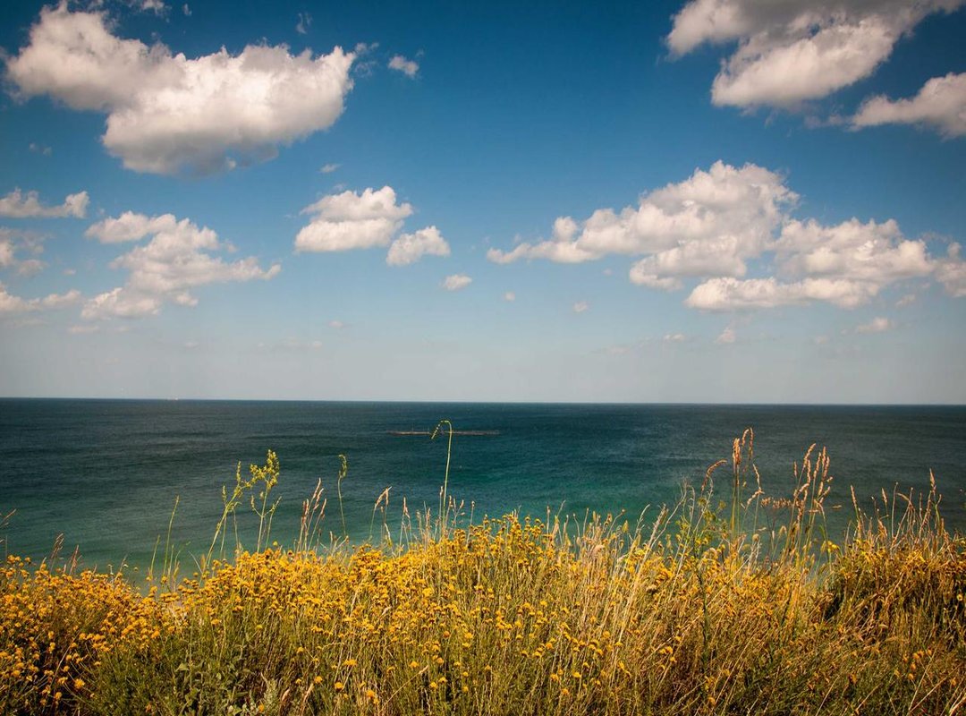 Pricing Context: Cost Comparison and Value