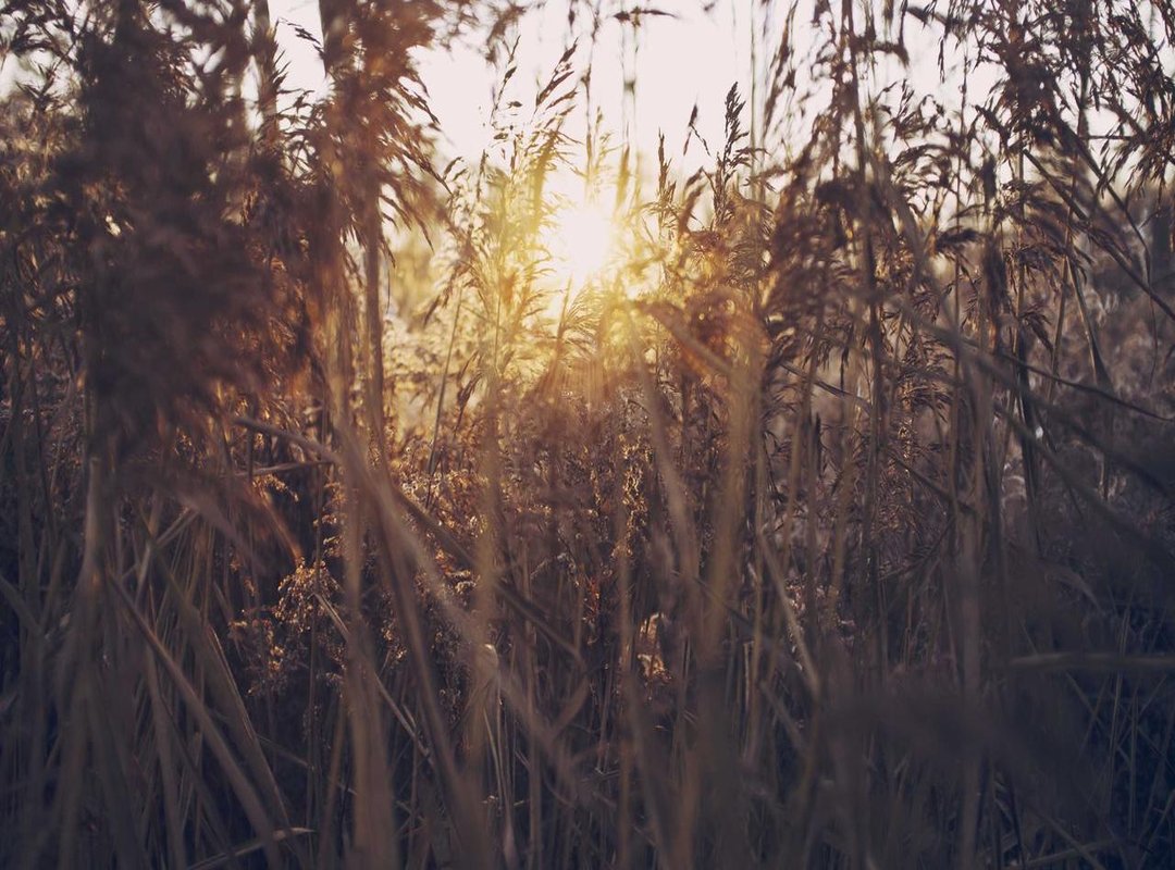 Getting the Perfect Print: A Quick How-To Guide