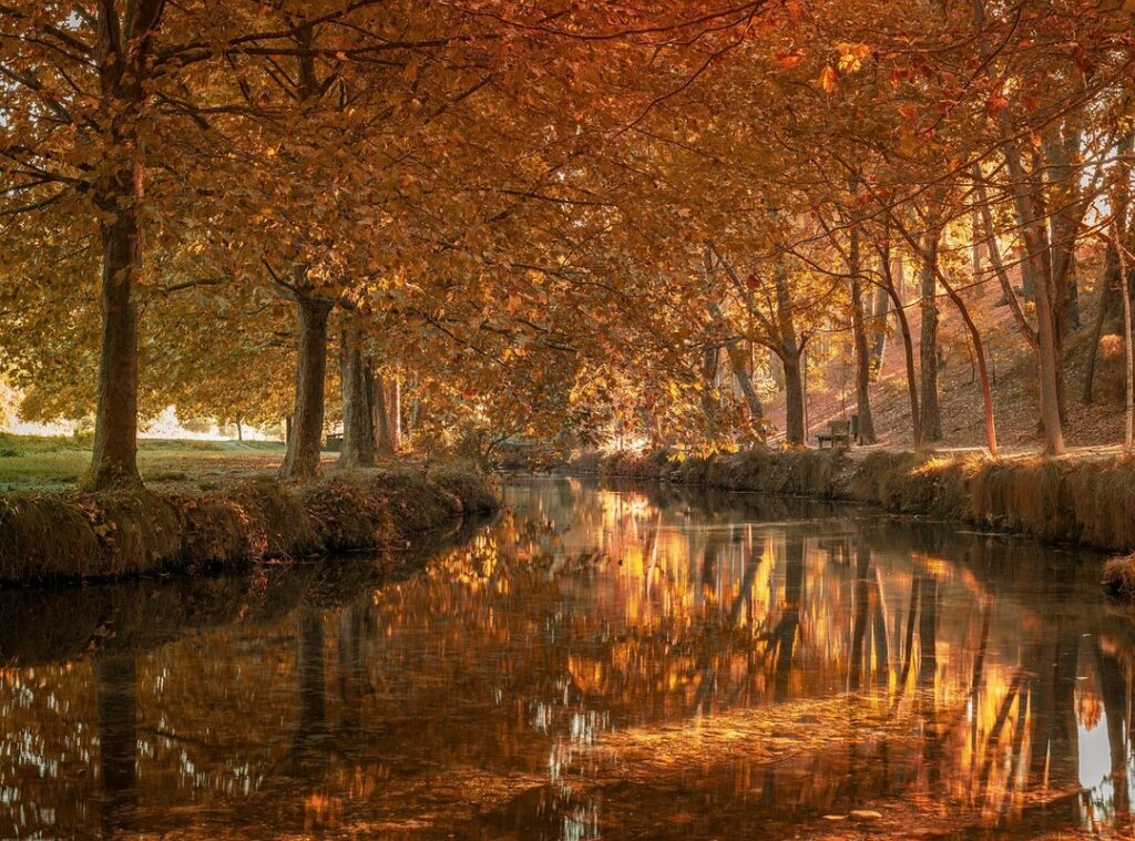 nombre real de la didiwinx