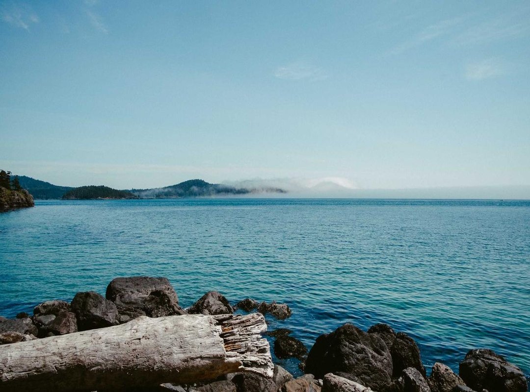 How to Stay Safe Online: Best Practices