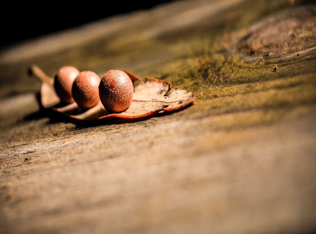 Finding the Perfect Nude-Toned Keyboards & Peripherals