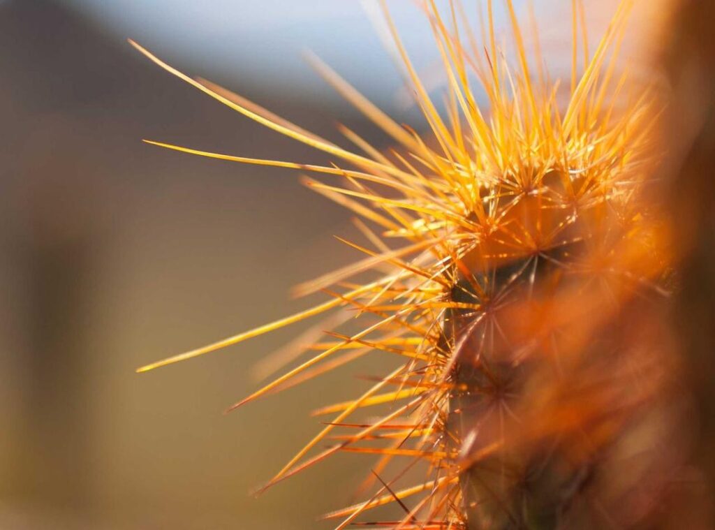 söpöjä piirustus ideoita